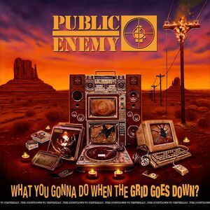 Public Enemy - What You Gonna Do When The Grid Goes Down?  CD